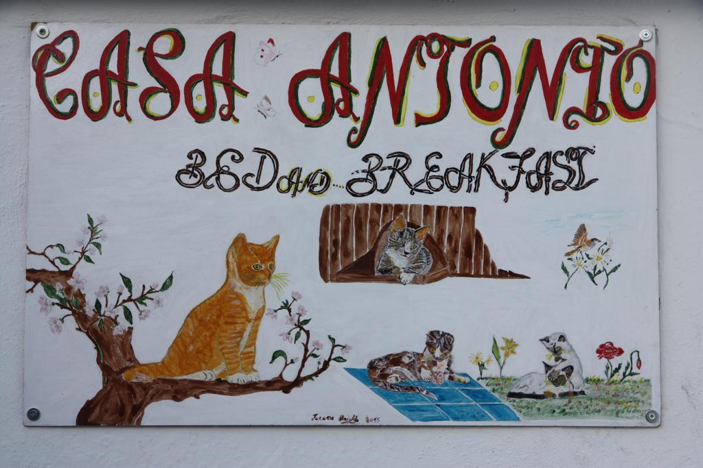 Bed and breakfast Casa Antonio Barano dʼIschia