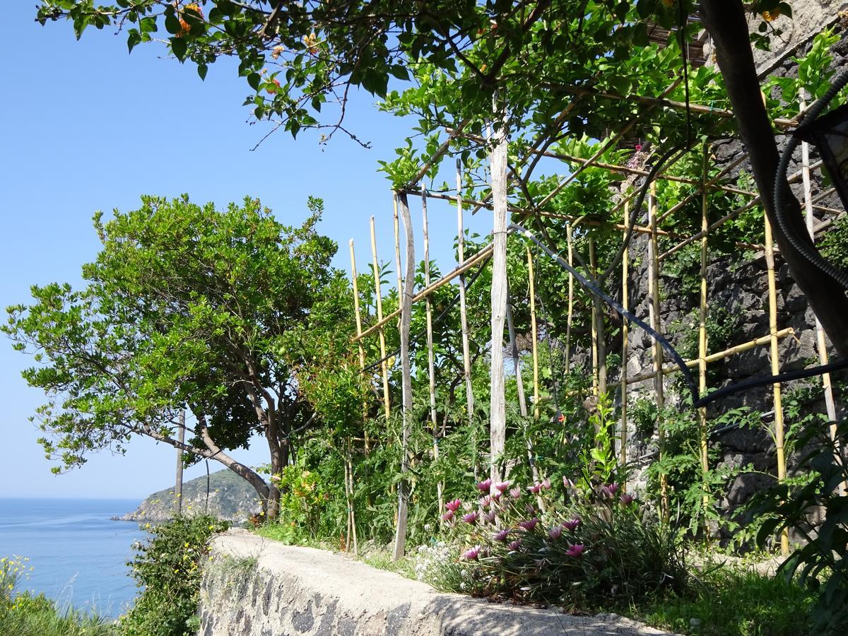 Bed & Breakfast Casa Antonio