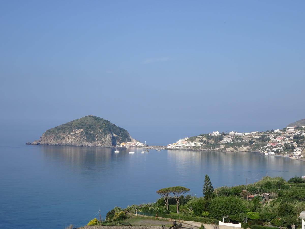 Bed & Breakfast Casa Antonio